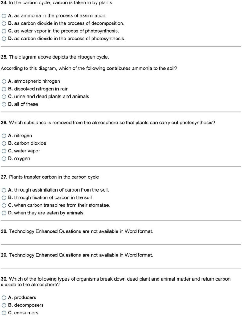 20 Integrated Science Cycles Worksheet Answers Worksheet From Home