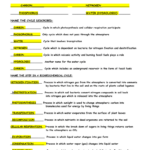 31 Nutrient Cycles Worksheet Answers Worksheet Information