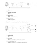 40 Life Cycle Of A Star Worksheet Answer Key Combining Like Terms