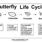 8 Kindergarten Worksheet Examples PDF Examples
