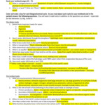 Biogeochemical Cycles Worksheets Answer Key Nitrogen Cycle Carbon