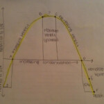Chapter 10 Guided Reading AP Environmental Science