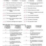 Collection Of Mitosis And Cell Division Worksheet Answers In 2020