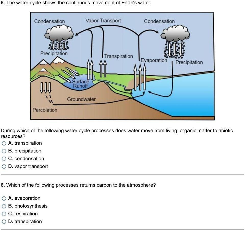 Cycles Of Matter Worksheet Answers Db Excel Cycles Of Matter Worksheet Answers Db excel