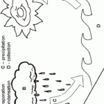 Fichas Sobre El Ciclo Del Agua