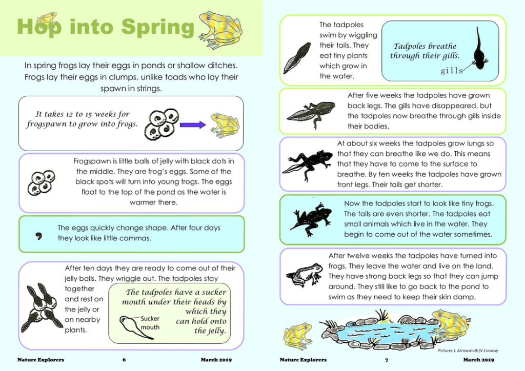 Frog s Life cycle Read And Do KS1 Nature