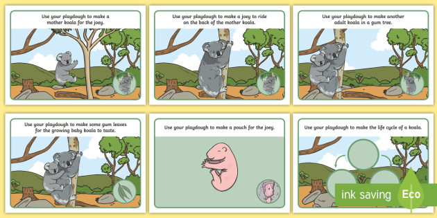 Koala Life Cycle Playdough Mats Koala Life Cycle Playdough Mats