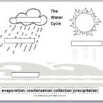 Learning Ideas Grades K 8 The Water Cycle With Ms Frizzle