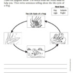 Pin By Brittany Petrone On Third Grade Teaching Ideas Homeschool