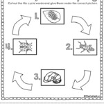 Pin On Kindergarten Teaching Ideas