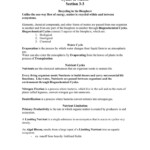 Pin On Worksheet Sample
