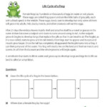 PrimaryLeap co uk Life Cycle Of A Frog Questions Worksheet Life