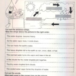 Put The Water Cycle In Correct Order Worksheet Dynamics Cards