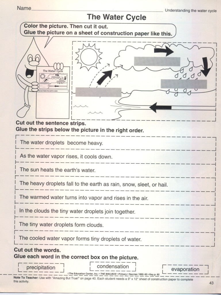 Put The Water Cycle In Correct Order Worksheet Dynamics Cards 