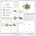 Sea Turtle Life Cycle Worksheets For Kids Turtle Life Cycle Sea