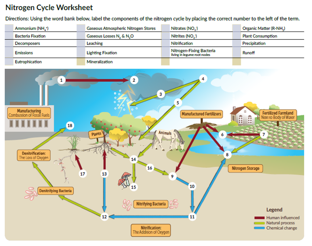nitrogen-cycle-diagram-worksheet-nitrogen-cycle-environment-quiz-quizizz-gallery-lucy