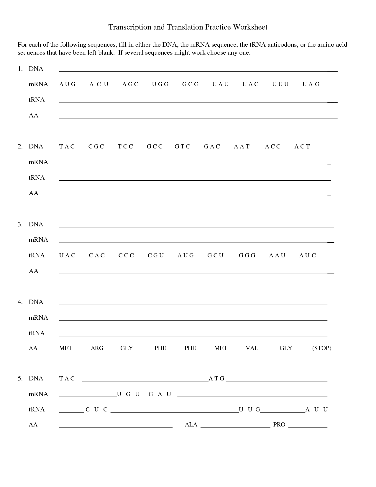 Transcription And Translation Practice Worksheet 1 Transcription And Transcription And Translation Practice Worksheet 1 Transcription And
