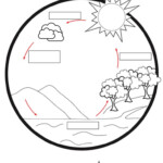 Water Cycle English ESL Worksheets For Distance Learning And Physical