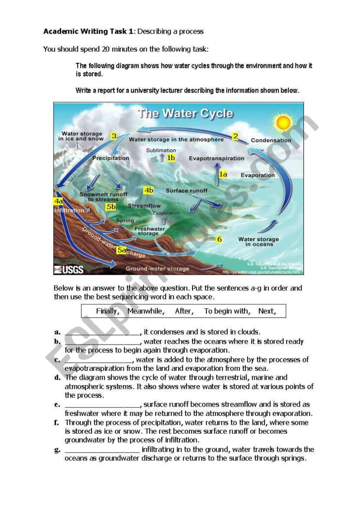 Water Cycle ESL Worksheet By Sheepy pete