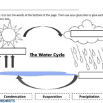 Water Cycle Online And Pdf Worksheet Water Cycle Worksheet Water