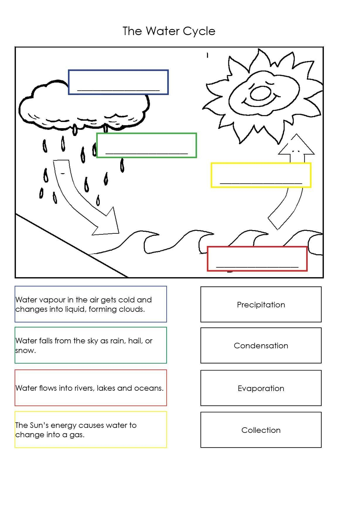 Water Cycle Worksheet 2nd Grade 5 Science Worksheet In 2020 Water