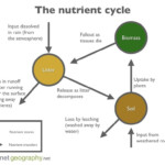 What Is An Ecosystem Internet Geography