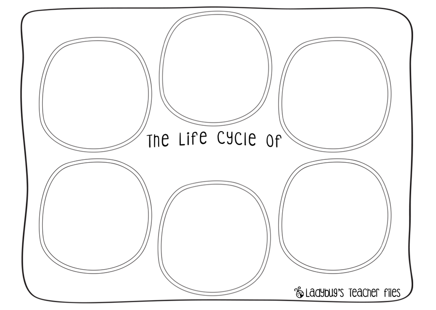13 Best Images Of Life Cycle Worksheets Grade 3 Worksheeto