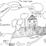 13 The Water Cycle Worksheet Answers Worksheeto