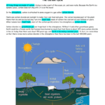 Abiotic Nutrient Cycle Worksheet Date