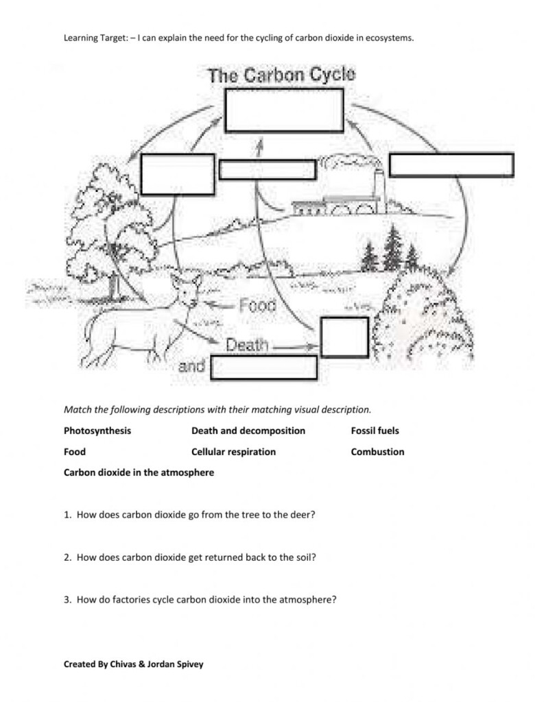 Biogeochemical Cycles Worksheet Answers Word Worksheet
