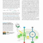 Calvin Cycle Worksheet Answers Inspirational Calvin Cycle Diagram