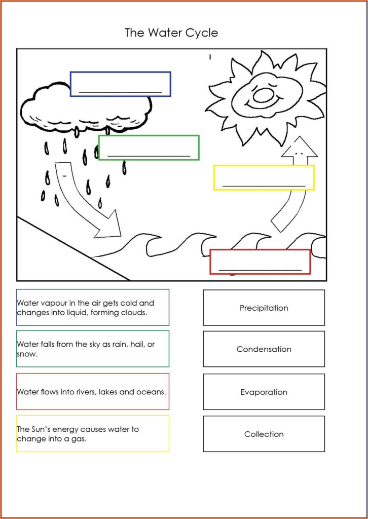 Cambridge Science Grade 2 Worksheet Worksheet Resume Examples