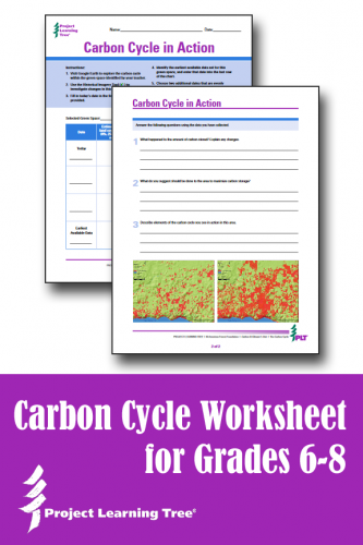 Carbon Cycle Worksheet Download Project Learning Tree Carbon Cycle Worksheet Download Project Learning Tree