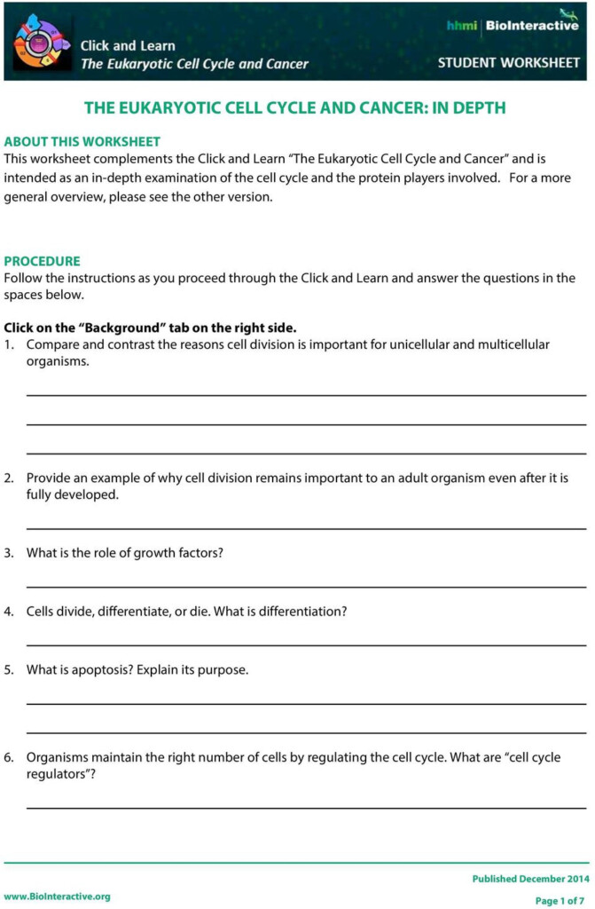 Cell Cycle And Cancer Worksheet Answers Db excel
