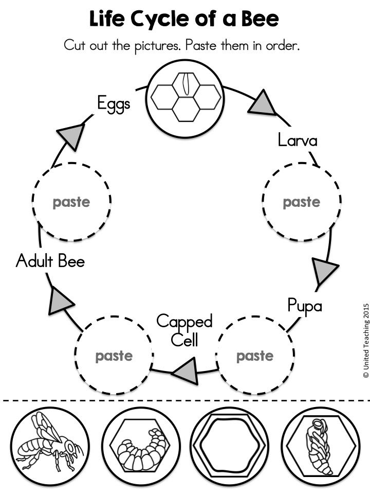 Crafts Actvities And Worksheets For Preschool Toddler And Kindergarten