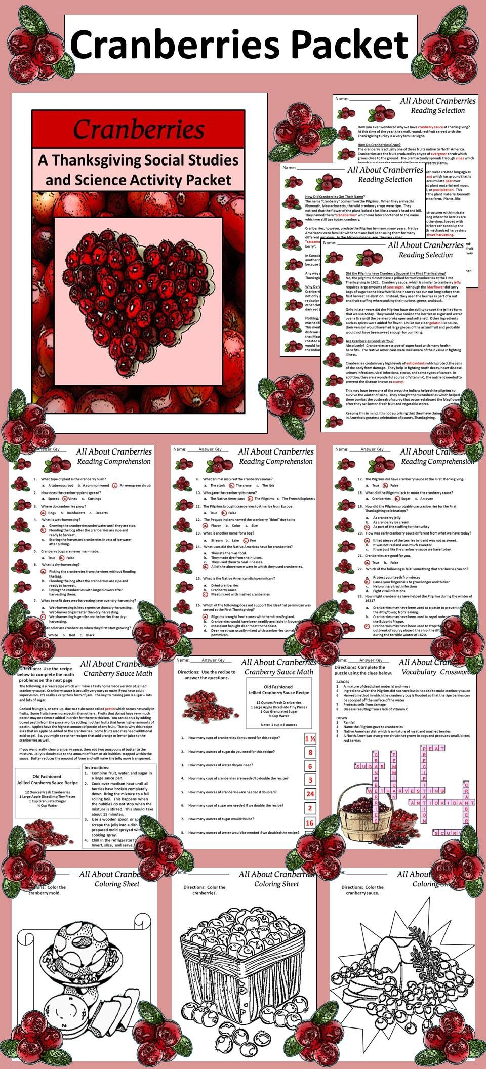 CRANBERRY TeachersPayTeachers Holiday Classroom Activities CRANBERRY TeachersPayTeachers Holiday Classroom Activities