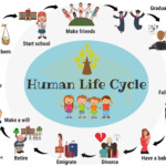 Family Members Names Of Members Of The Family In English 7ESL