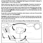 Fifth Grade Printable Water Cycle Worksheet Pdf Worksheet Now