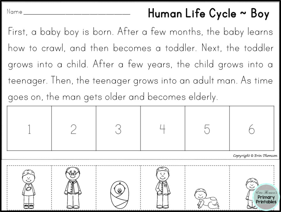 FREE Human Life Cycle Sequencing Story Boy And Girl Versions Included FREE Human Life Cycle Sequencing Story Boy And Girl Versions Included