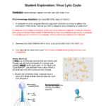 GIZMOS Student Exploration Virus Lytic Cycle With Answers 100 Correct