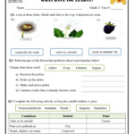 Grade 3 Science Worksheet Grade 3 Science Worksheet AlbixyEmerson60c