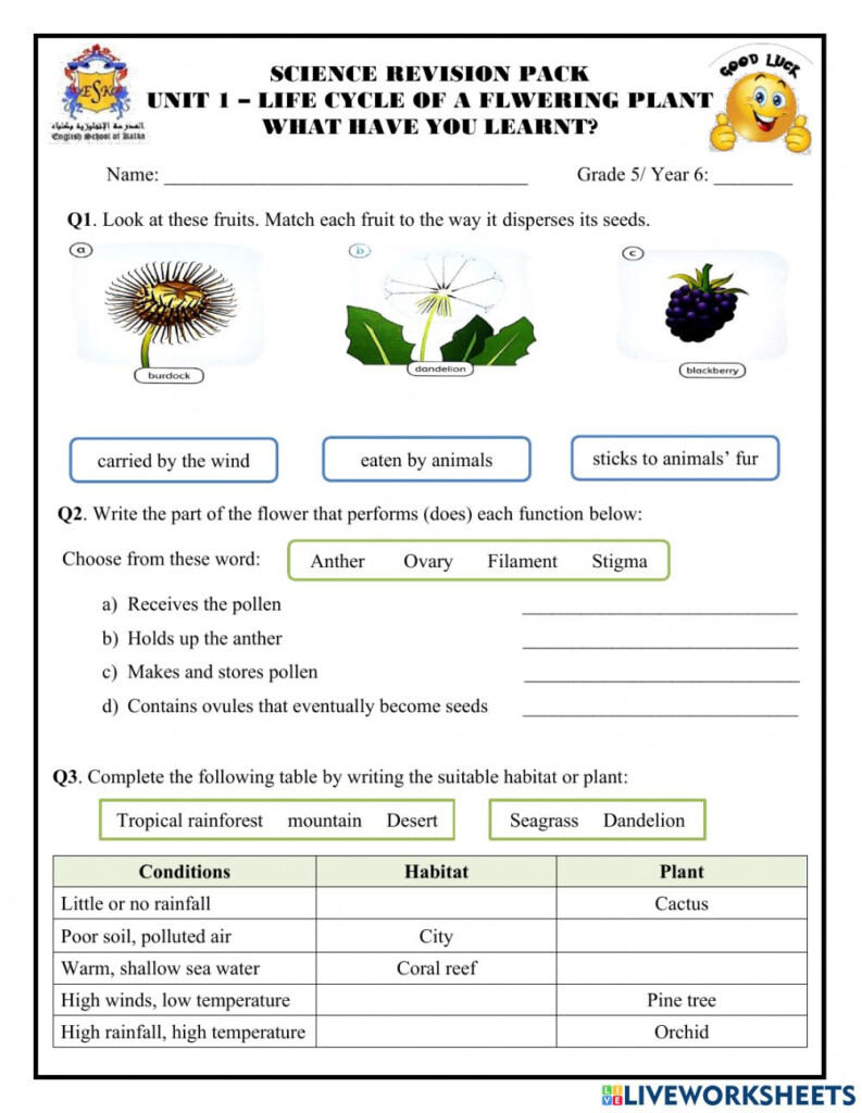 Grade 3 Science Worksheet Grade 3 Science Worksheet AlbixyEmerson60c