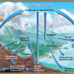 Grade 7 Resources Science Outreach Arts And Science University Of