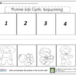 Human Life Cycle Sequencing Worksheet Preschoolplanet