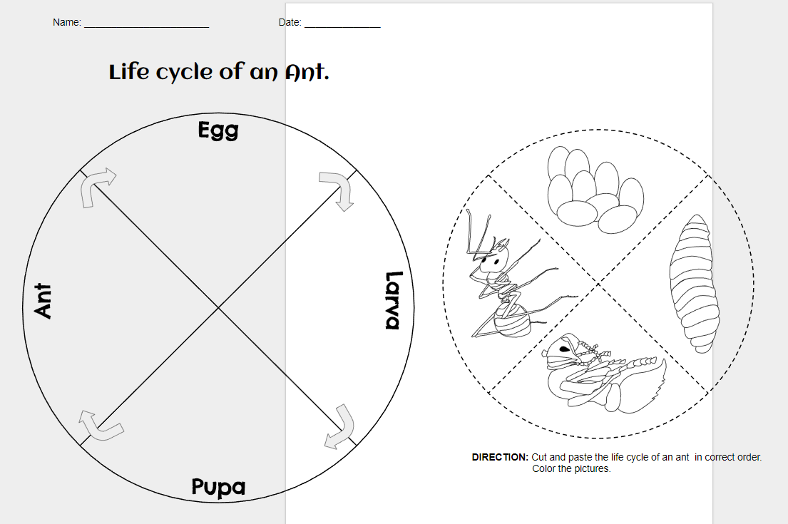 I LOVE TEACHING IDEAS I LOVE TEACHING IDEAS