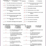 Key Cell Cycle Labeling Worksheet Worksheet Resume Examples
