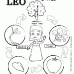 Life Cycle Of A Plant Coloring Page Coloring Home