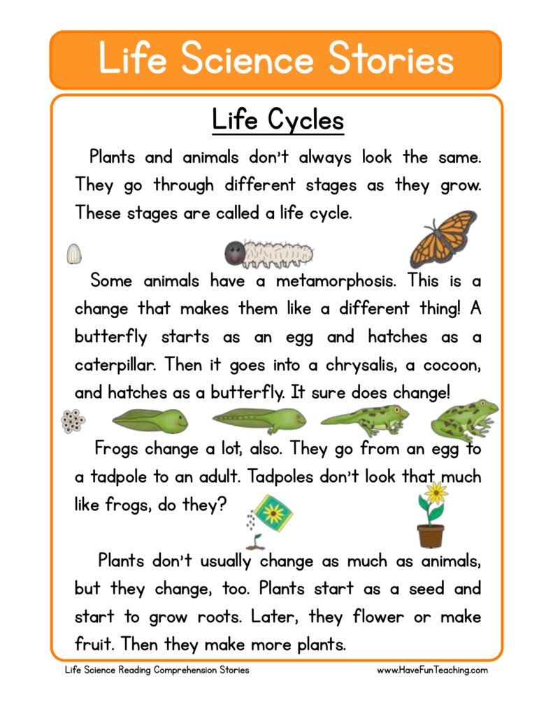 Life Cycles Reading Comprehension Worksheet