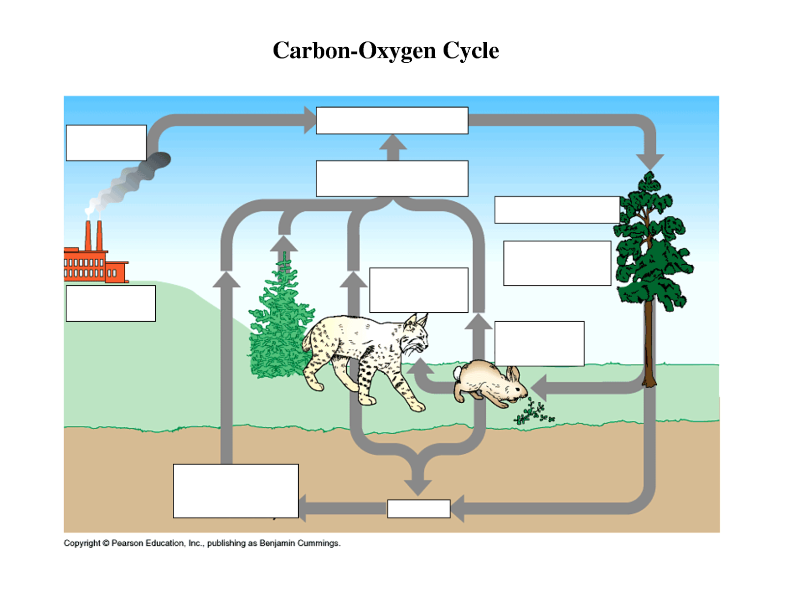 MALIK GK POWER CARBON OXYGEN CYCLE MALIK GK POWER CARBON OXYGEN CYCLE