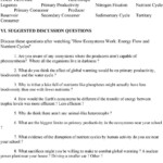Nutrient Cycles Worksheet Answers How Ecosystems Work Energy Flow And